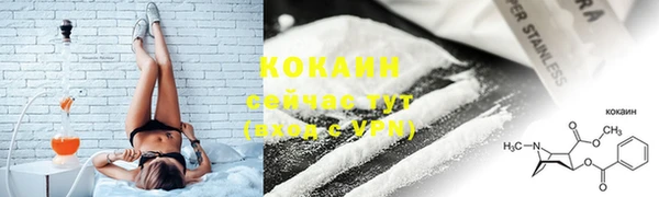 ECSTASY Дмитриев