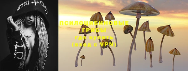 ECSTASY Дмитриев