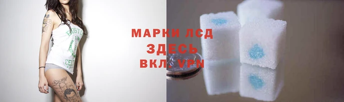 соль ск Гвардейск