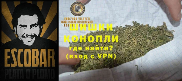 spice Гусев
