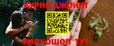сатива Нальчик