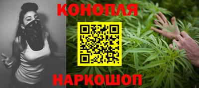 сатива Нальчик