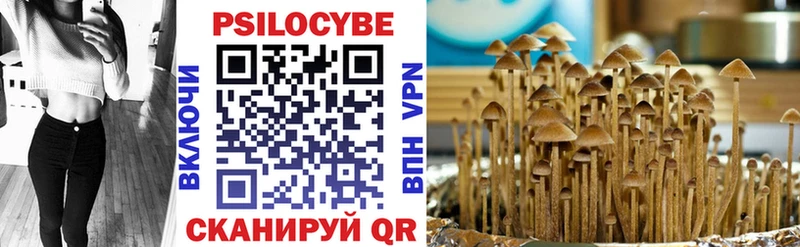 Псилоцибиновые грибы Magic Shrooms  наркошоп  Добрянка 